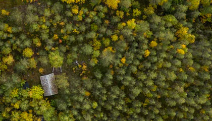 Foto: Hendrik Morkel på Unsplash